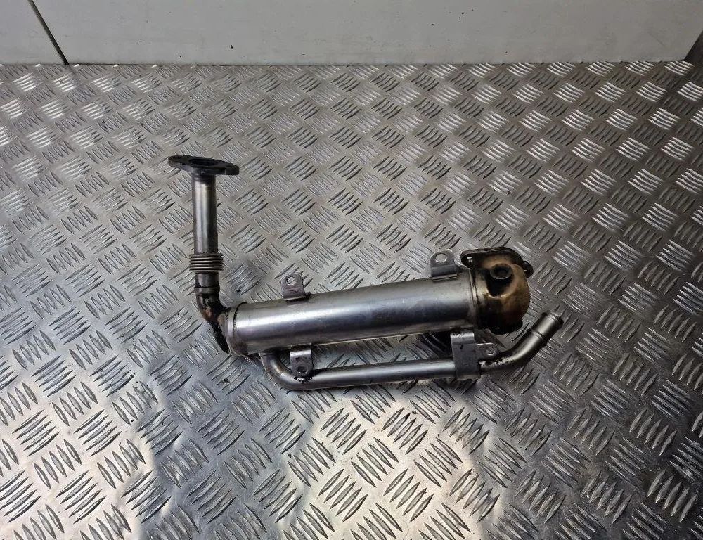VOLKSWAGEN Passat B7 (2010-2015) EGR kylare 03G131512AA 31239168
