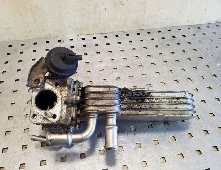 VOLKSWAGEN Touran 1 generation (2003-2015) EGR kylare 1723493,038131513D 26080486