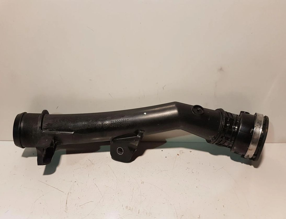 PEUGEOT 5008 2 generation (2017-2020) Slangar 9810958380 30232919