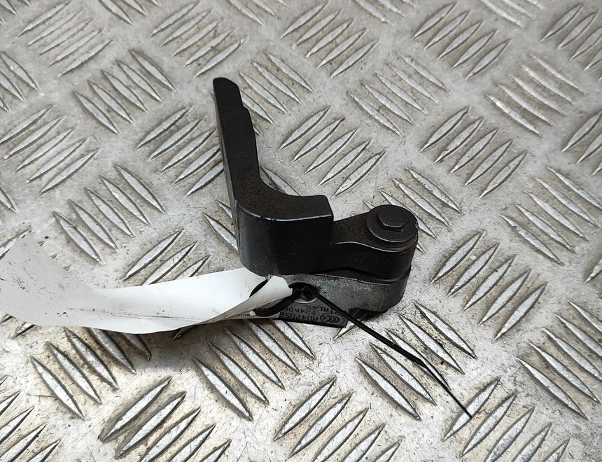 BMW 3 Series F30/F31 (2011-2020) Bakre vänstra dörrgångjärn 7246063 22195503