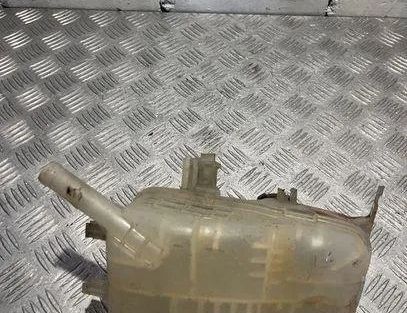 RENAULT Megane 3 generation (2008-2020) Expansionskärl 217100005R 21508090