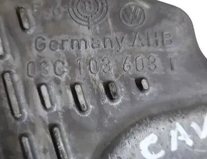 VOLKSWAGEN Tiguan 1 generation (2007-2017) Oljepanna 03C103603T 27123795