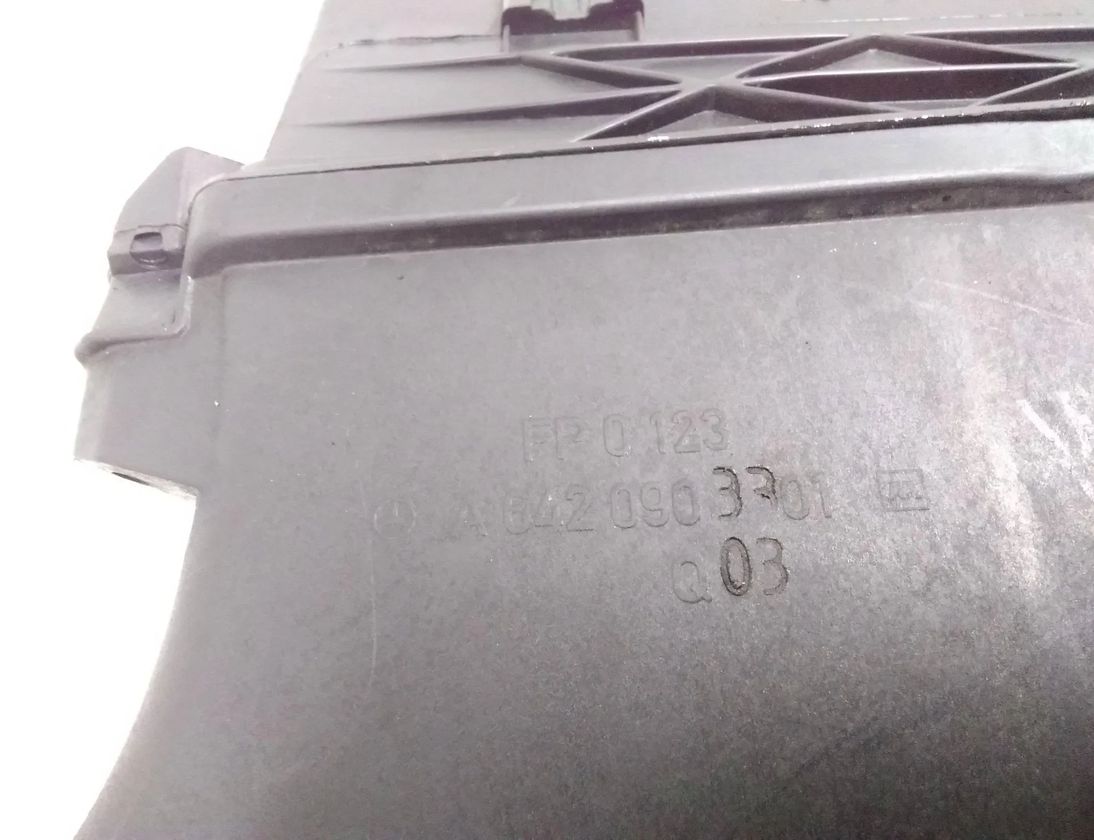 MERCEDES-BENZ M-Class W164 (2005-2011) Luftfilterlåda A6420903301 27662094