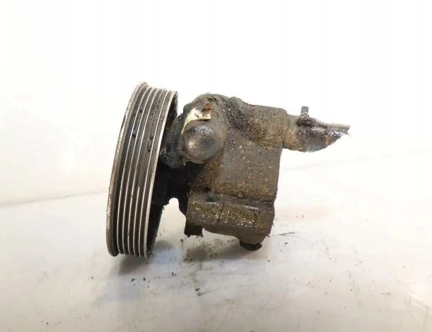 RENAULT Thalia 1 generation  (2002-2008) Servostyrningspump 26053219 32902717