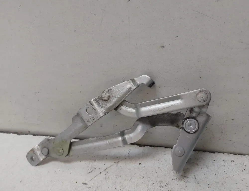 SKODA Superb 1 generation (2001-2008) Vänster sida baklucka gångjärn 3B5827301B 33519186