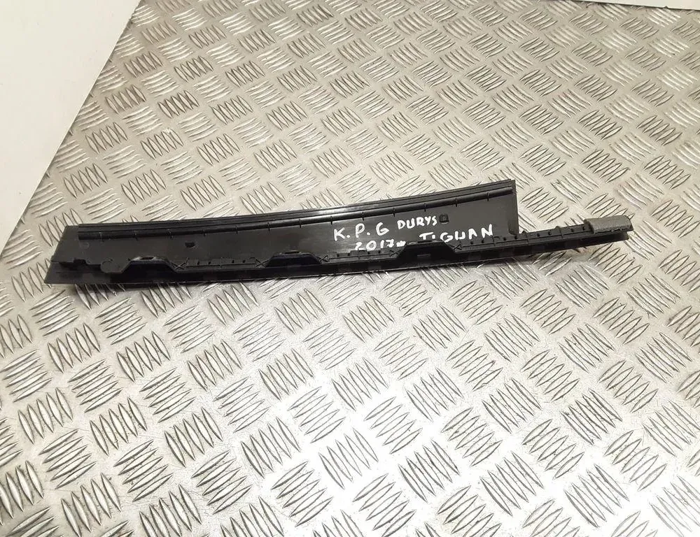 VOLKSWAGEN Tiguan 2 generation (2016-2024) Fönsterlister för vänster bakdörr 5NA839901B 34985808