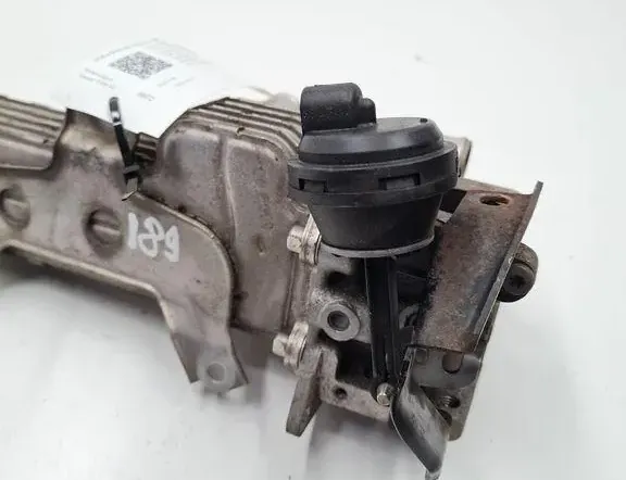 VOLKSWAGEN Touran 1 generation (2003-2015) EGR kylare 038131513AD 33277681