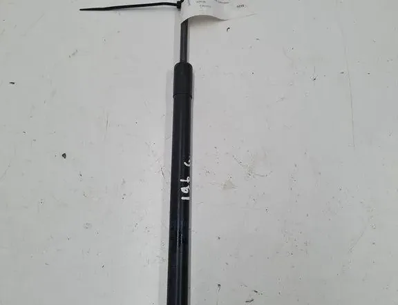 VOLKSWAGEN Golf 5 generation (2003-2009) Höger baklucka gasfjäderben 1K9827550A 33389620