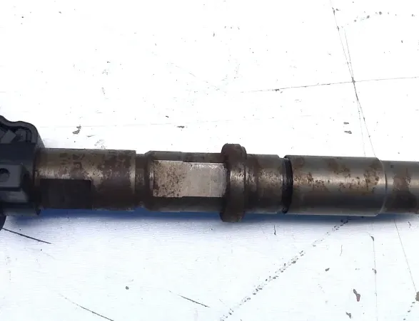 VOLKSWAGEN Crafter 1 generation (2006-2016) Bränsleinsprutare 0445115029 33480484