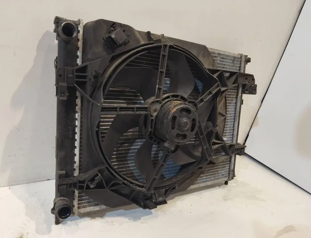 RENAULT Trafic 2 generation (2001-2015) Kylningsdelar 91168643 33263940