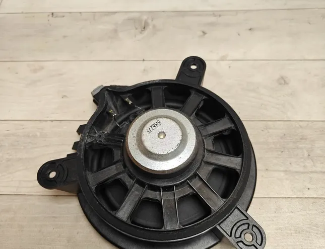 VOLVO V70 3 generation (2007-2020) Ljudhögtalare för höger bakdörr 30657444 34962944