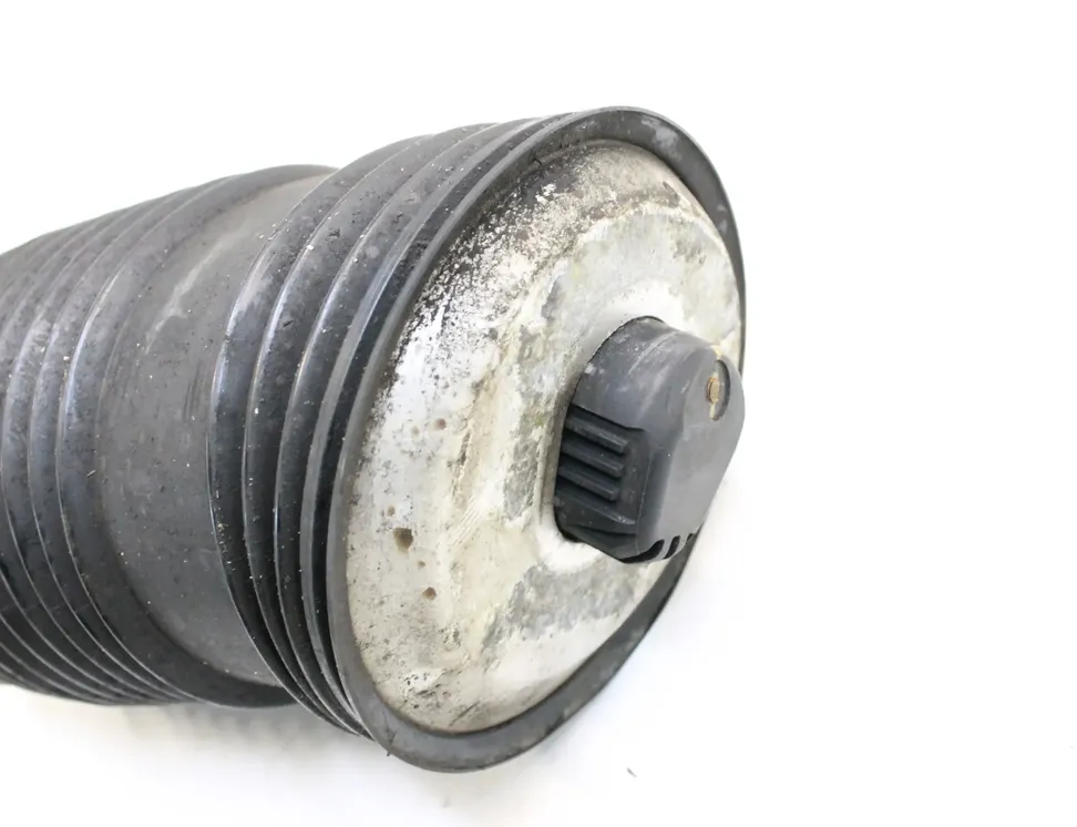 MERCEDES-BENZ EQC 1 generation (2018-2023) Bakre höger luftfjädringskudde A2053200225 34987614