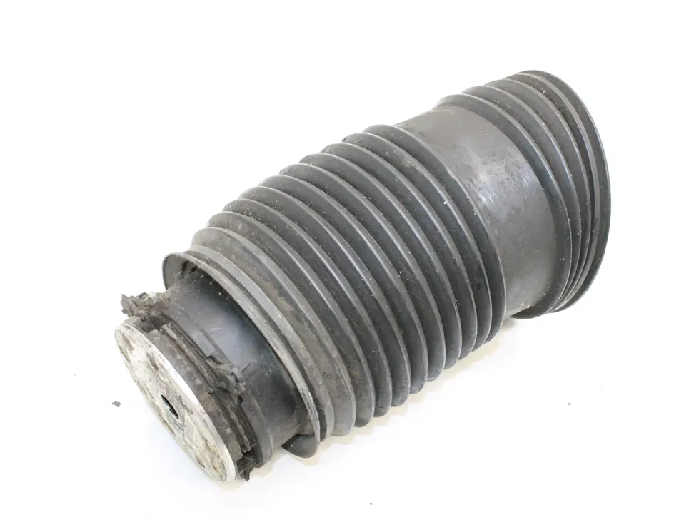 MERCEDES-BENZ EQC 1 generation (2018-2023) Bakre höger luftfjädringskudde A2053200225 34987614