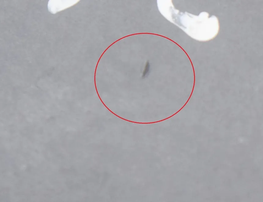 OPEL Insignia A (2008-2016) Bakre höger dörrfönsterkontrollbrytare 13301888,13222231 13322831