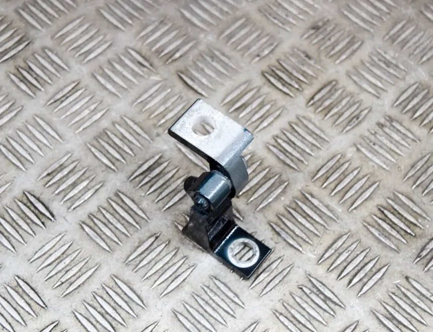 VOLKSWAGEN Tiguan 2 generation (2016-2024) Bakre höger dörrgångjärn 8V5833404C 15086424