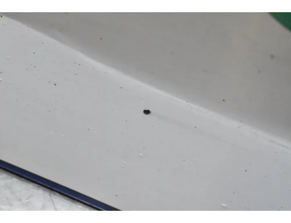 SKODA Fabia 3 generation (2014-2021) Vänster bakdörr 34984753