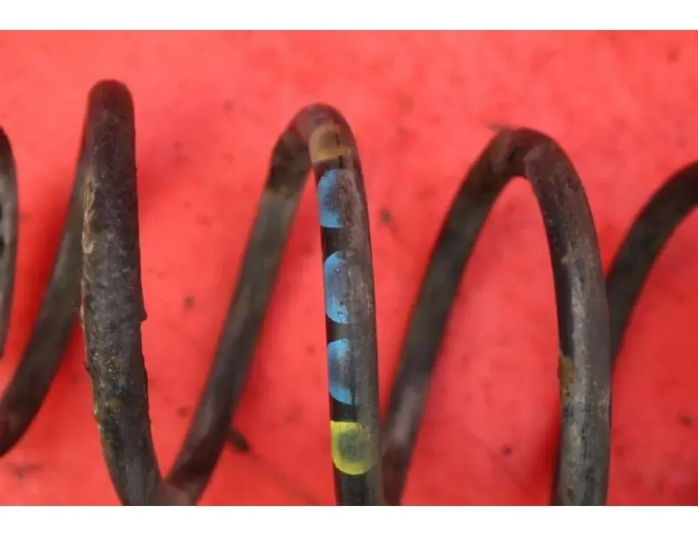 VOLKSWAGEN SpaceFox 1 generation (2006-2023) Främre vänster fjäder VOLKSWAGEN 22398993