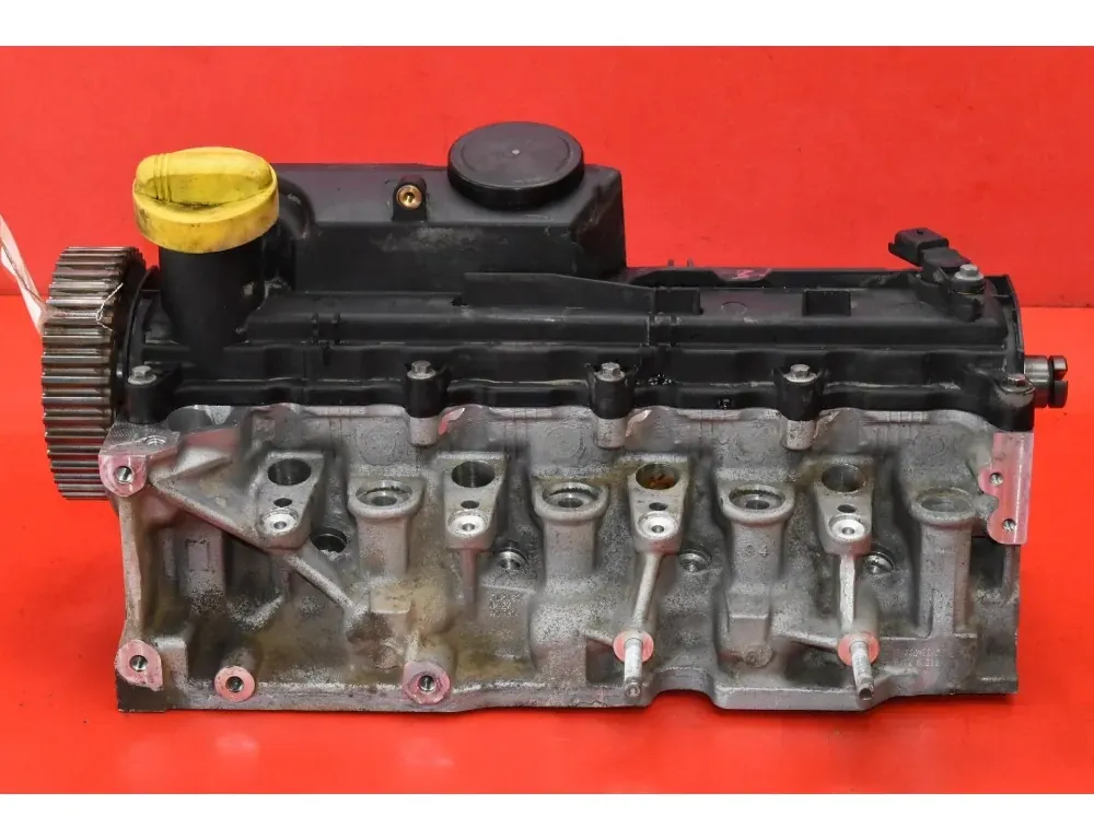 RENAULT Megane 2 generation (2002-2012) Motorns cylinderhuvud 2968F2 33533045