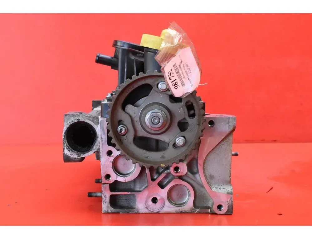 RENAULT Megane 2 generation (2002-2012) Motorns cylinderhuvud 2968F2 33533045
