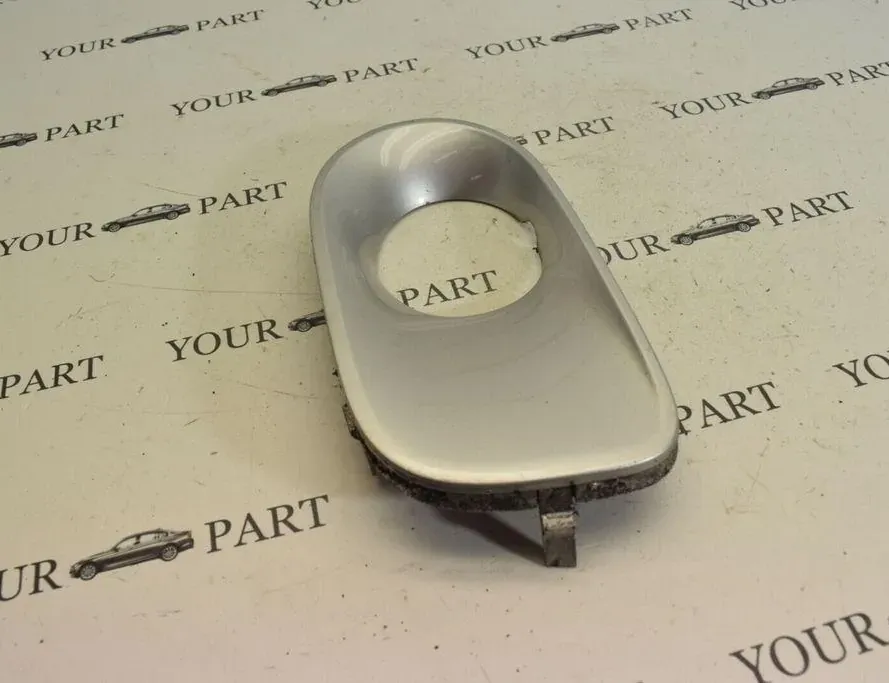 BMW X5 E53 (1999-2006) Dimljusklädsel 7111763 33483023