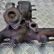 AUDI A4 B5/8D (1994-2001) Turboladdare 028145702H 31068568
