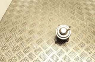 SEAT Altea 1 generation (2004-2013) EGR-ventil 038131501AN 32764664