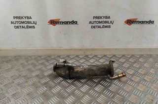 FORD Transit Connect 1 generation (2002-2024) EGR-ventil 31606145