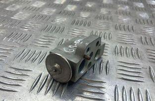 AUDI A5 8T (2007-2016) Luftkonditioneringens expansionsventil 52316990 31824758
