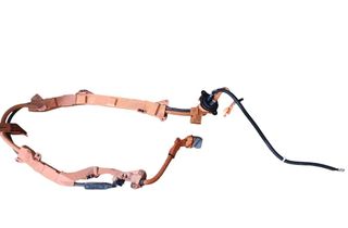 TOYOTA RAV4 5 generation (XA50) (2018-2024) Kabelhärva 3276 33003648