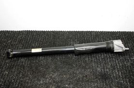 MERCEDES-BENZ A-Class W177 (2018-2024) Stötdämpare bak höger A1773206103 31220736