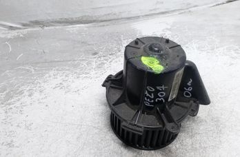 PEUGEOT 307 1 generation (2001-2008) Innervärmare 411090106 27617853