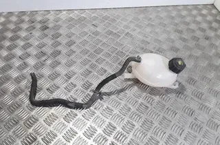 DACIA Dokker 1 generation (2012-2024) Expansionskärl 217107259R 33518158