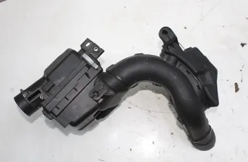 NISSAN Juke YF15 (2010-2020) Luftfilterlåda 33525133