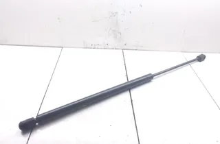 VOLKSWAGEN Touareg 1 generation (2002-2010) Främre vänster motorhuvsfjäderben 33357650