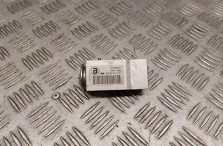 PORSCHE Panamera 970 (2009-2016) Luftkonditioneringens expansionsventil 52316990 33437309