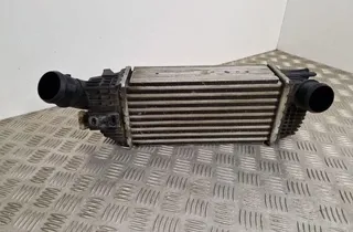 PEUGEOT 508 1 generation (2010-2020) Intercooler Kylare 16465741 31958394