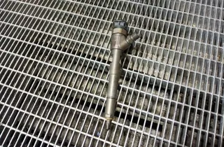 RENAULT Captur 1 generation (2013-2019) Bränsleinsprutare 0445110485 33401740