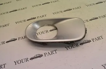 BMW X5 E53 (1999-2006) Dimljusklädsel 7111763 33483023