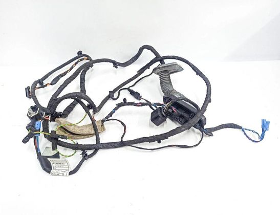 BMW 5 Series F10/F11 (2009-2017) Vänster främre dörrkablar 65779224178,9224178,9291048,614675,9147281,914728101,09401605,6577922417801,695452201,7526880,4380893,9149009,1670537,9312733,6954522,04645,131011 32866286