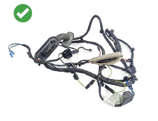 BMW 5 Series F10/F11 (2009-2017) Vänster främre dörrkablar 65779224178,9224178,9291048,614675,9147281,914728101,09401605,6577922417801,695452201,7526880,4380893,9149009,1670537,9312733,6954522,04645,131011 32866286