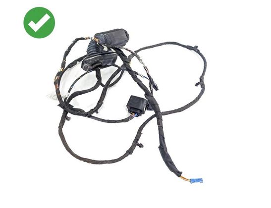 BMW 5 Series F10/F11 (2009-2017) Vänster främre dörrkablar 968813,9688131C,614675,9147281,914728101,9169241,08401205,664059,4380893,7526680,8377234,16705371,1670537,66405910,61139169241 32866299