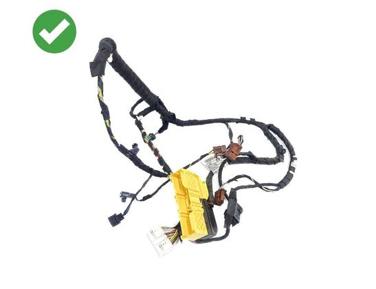 BMW 5 Series F10/F11 (2009-2017) Vänster främre dörrkablar 9312120,15076310,9291731,9167688,30235952,690514002,4380893,EEA633,13551211,16708411,916768801,690183004 32867032