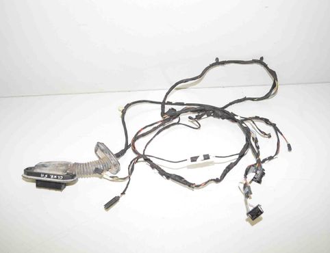 BMW 5 Series F10/F11 (2009-2017) Kablar för vänster bakdörr 9256017,9237088,61129237088 25840362