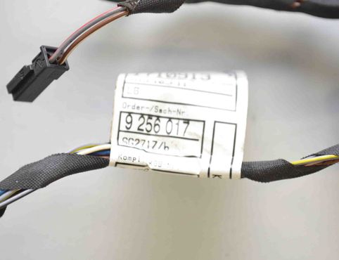 BMW 5 Series F10/F11 (2009-2017) Kablar för vänster bakdörr 9256017,9237088,61129237088 25840362
