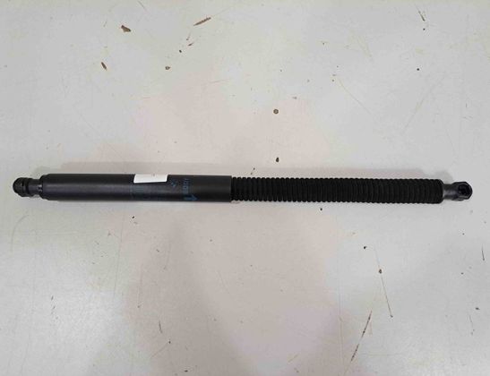 BMW X3 G01 (2017-2024) Gasfjäderben vänster baklucka 7497482,2654885 31049396