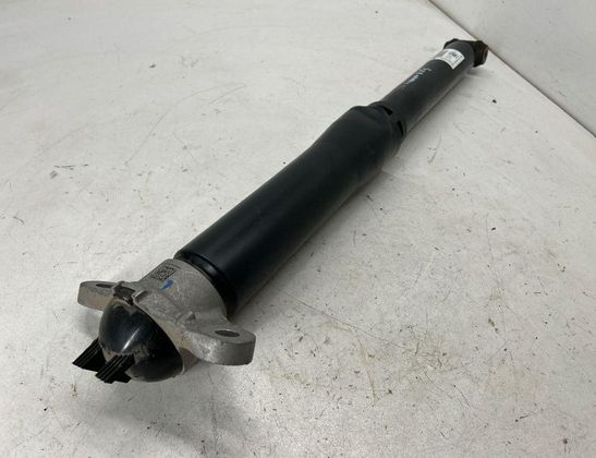 FORD USA Escape 4 generation (2019-2024) Stötdämpare bak vänster LX6118080NBH 32966783