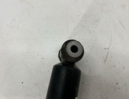 FORD USA Escape 4 generation (2019-2024) Stötdämpare bak vänster LX6118080NBH 32966783