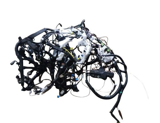 TOYOTA RAV4 5 generation (XA50) (2018-2024) Kabelhärva 8216542121 33013006