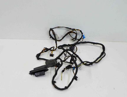 BMW 5 Series F10/F11 (2009-2017) Vänster främre dörrkablar 9240852 17609266