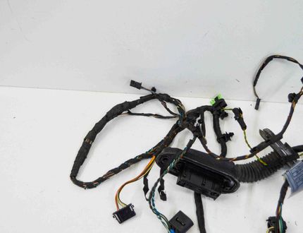 BMW 5 Series F10/F11 (2009-2017) Främre höger dörrkablar 9240882 17609267